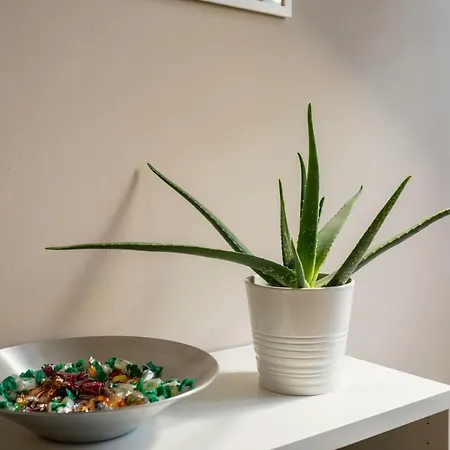 Casa Milvio Guest house Pistoia